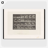 2-22_Eadweard-Muybridge_picture-crop