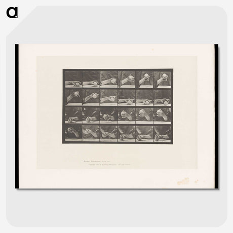 2-22_Eadweard-Muybridge_picture-crop
