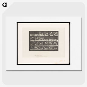 2-22_Eadweard-Muybridge_picture