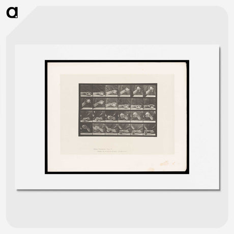 2-22_Eadweard-Muybridge_picture