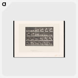 アートポストカード-Hand Lifting Ball
 - エドワード マイブリッジ Postcard.