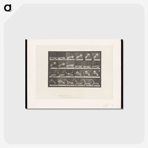 2-22_Eadweard-Muybridge_postcard