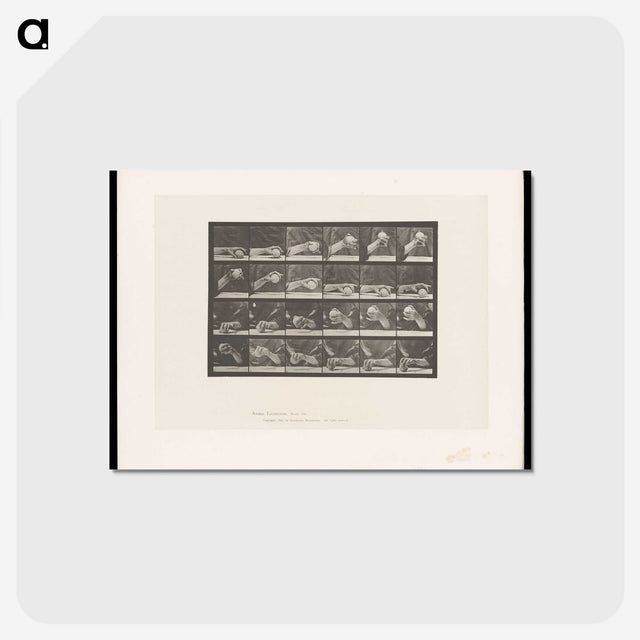 2-22_Eadweard-Muybridge_postcard