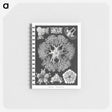 2-22_Ernst-Haeckel_memo