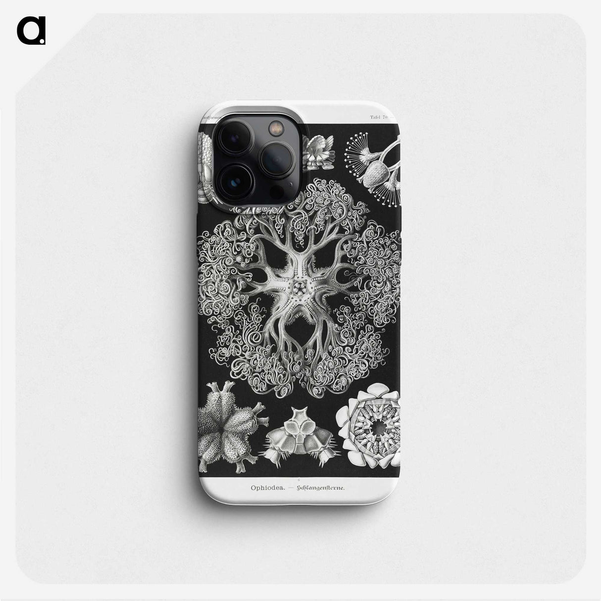 2-22_Ernst-Haeckel_phone