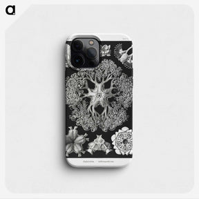 2-22_Ernst-Haeckel_phone
