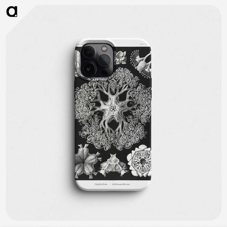 2-22_Ernst-Haeckel_phone