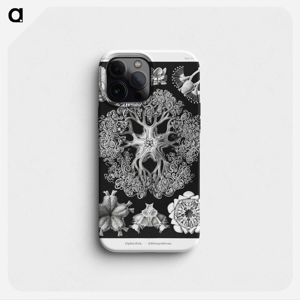 Ophiodea–Schlangensterne - エルンスト ヘッケル Phone Case.