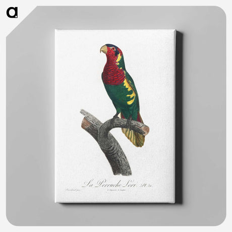 2-22_Francois-Levaillant_canvas