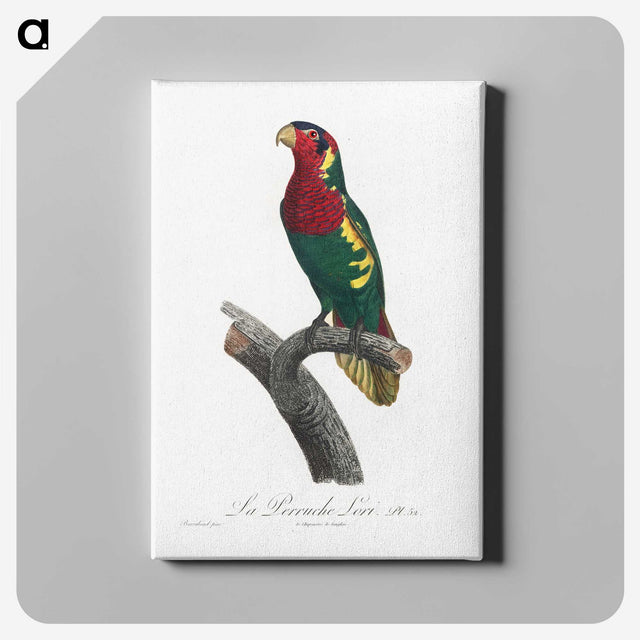 2-22_Francois-Levaillant_canvas