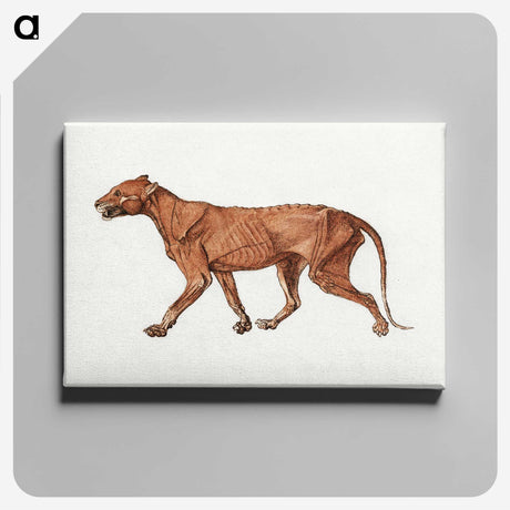 2-22_George-Stubbs_canvas