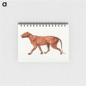 アートメモ帳-Tiger Body, Lateral View
 - ジョージ スタッブス Memo.