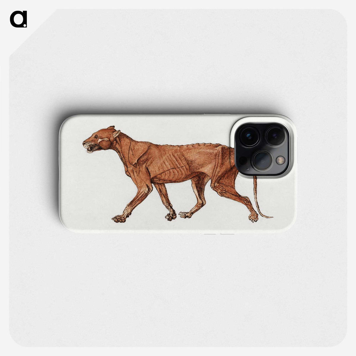 2-22_George-Stubbs_phone