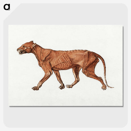 2-22_George-Stubbs_picture-crop