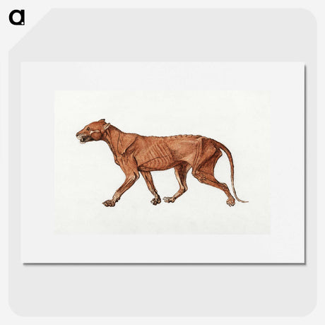 2-22_George-Stubbs_picture