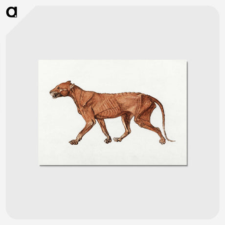 2-22_George-Stubbs_postcard