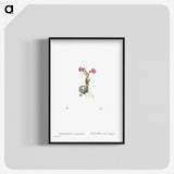 2-22_Histoire-des-Plantes-Grasses_blk-crop