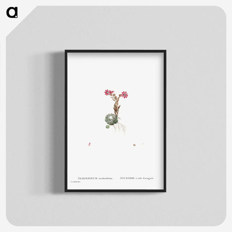 2-22_Histoire-des-Plantes-Grasses_blk-crop