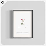 2-22_Histoire-des-Plantes-Grasses_blk