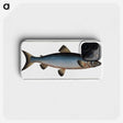 2-22_Ichtyologie-ou-Histoire-naturelle_phone