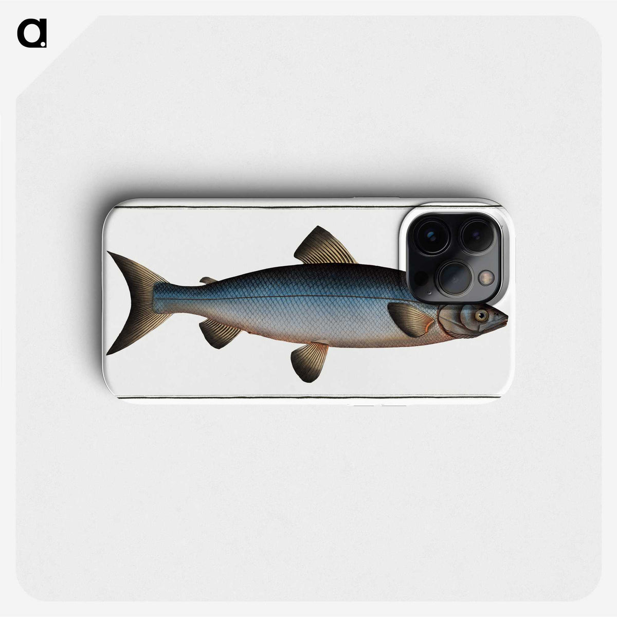 2-22_Ichtyologie-ou-Histoire-naturelle_phone