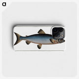 2-22_Ichtyologie-ou-Histoire-naturelle_phone