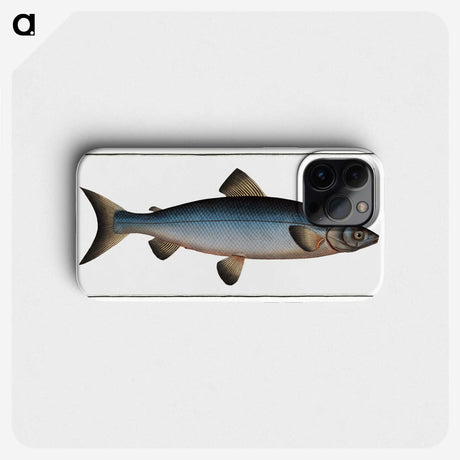 2-22_Ichtyologie-ou-Histoire-naturelle_phone