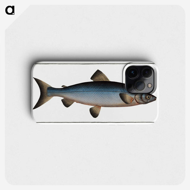 2-22_Ichtyologie-ou-Histoire-naturelle_phone