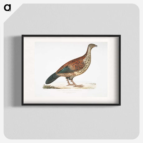 2-22_Indian-Zoology_blk
