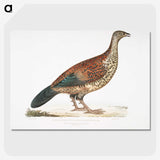 2-22_Indian-Zoology_picture-crop