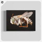 2-22_Insects-Unlocked-Project_blk-crop