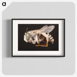 2-22_Insects-Unlocked-Project_blk