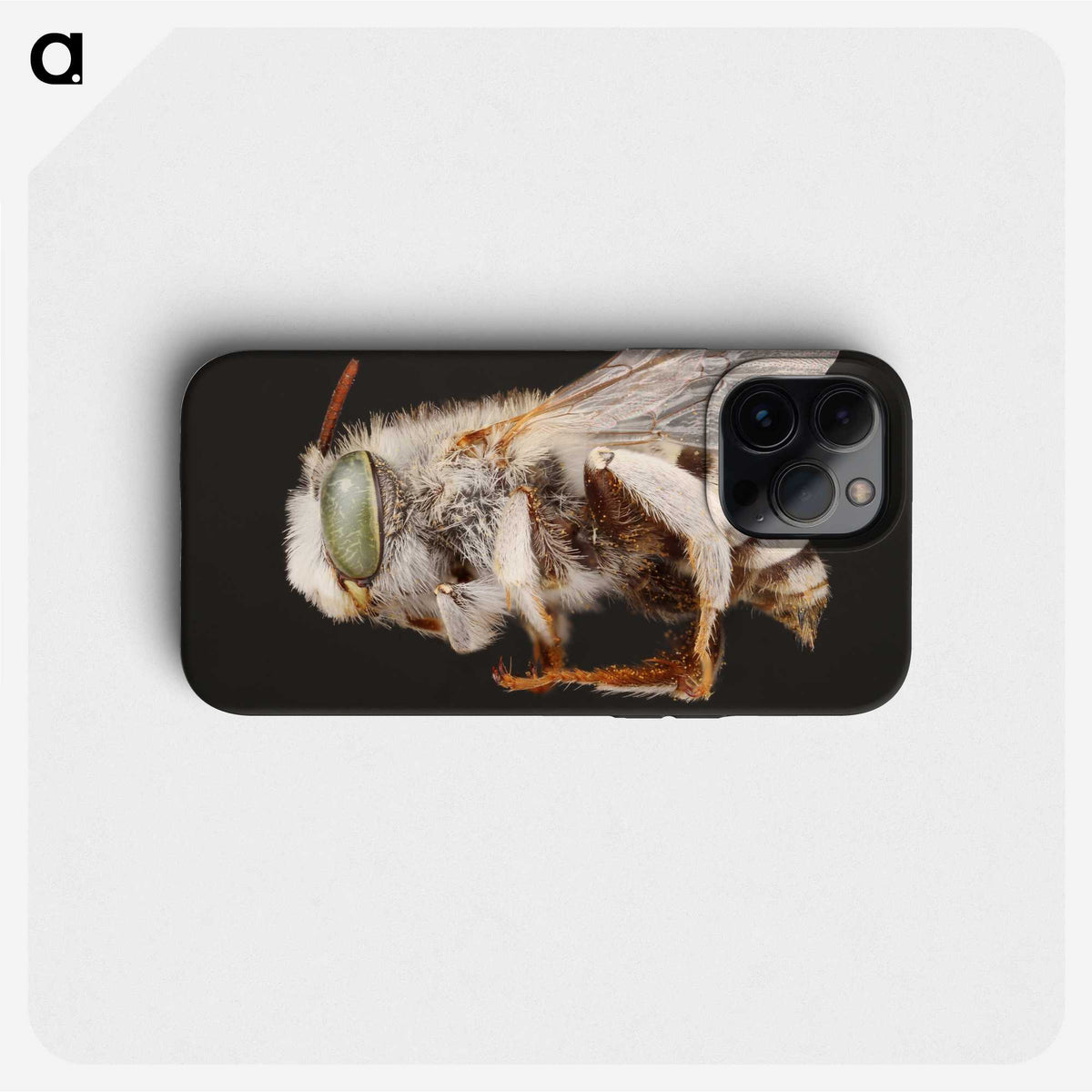 2-22_Insects-Unlocked-Project_phone