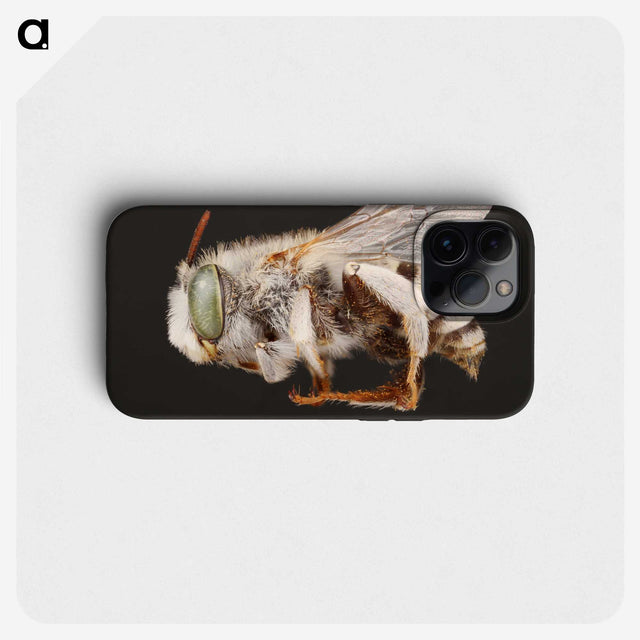 2-22_Insects-Unlocked-Project_phone