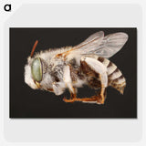 2-22_Insects-Unlocked-Project_picture-crop