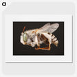 2-22_Insects-Unlocked-Project_picture