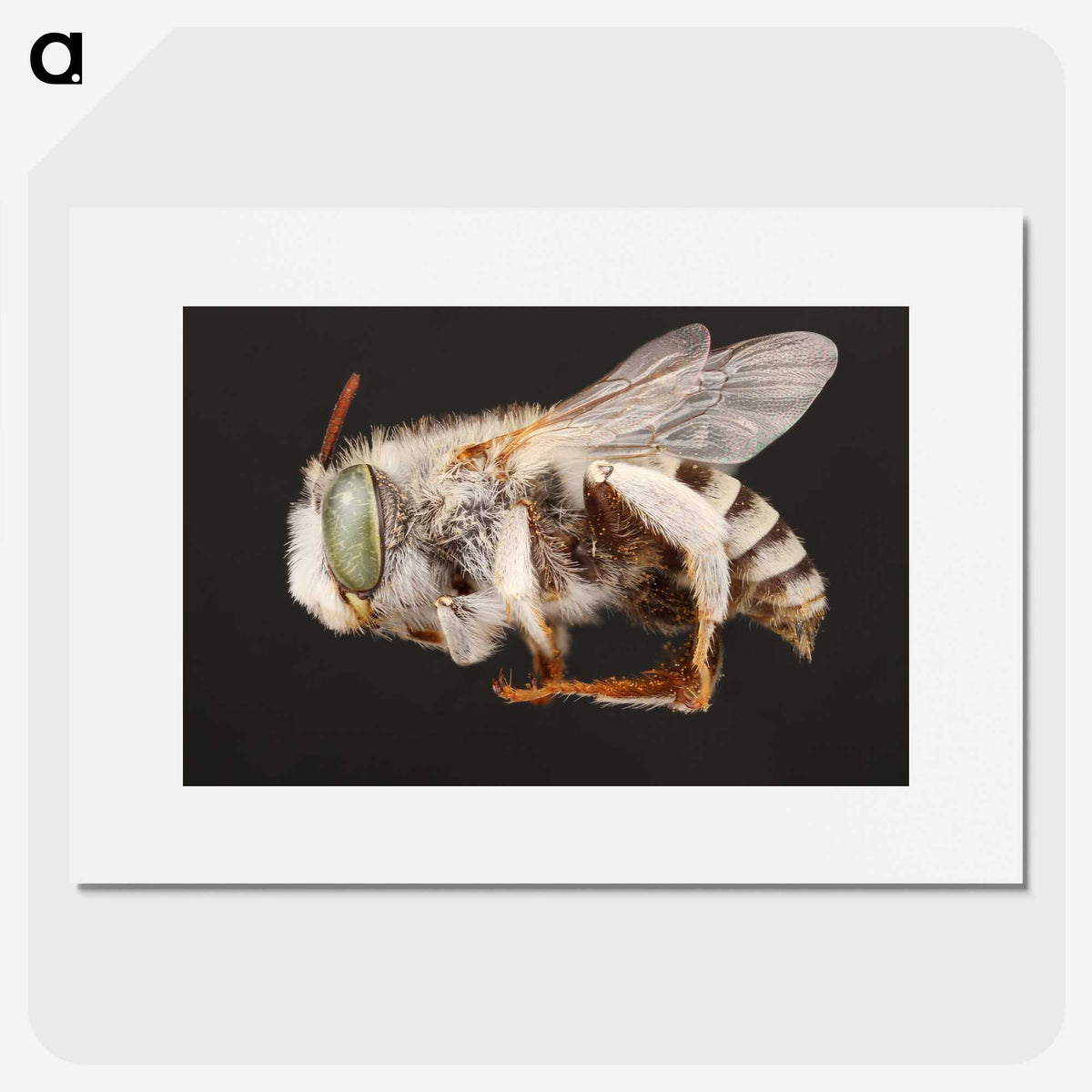 2-22_Insects-Unlocked-Project_picture