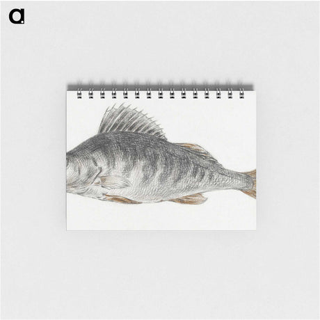 2-22_Jean-Bernard_memo