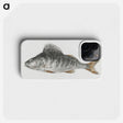 2-22_Jean-Bernard_phone