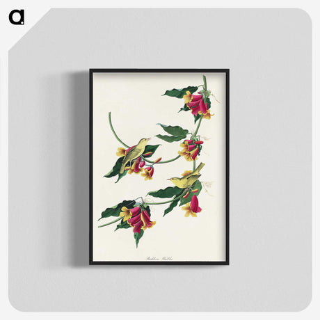 2-22_John-James-Audubon_blk-crop
