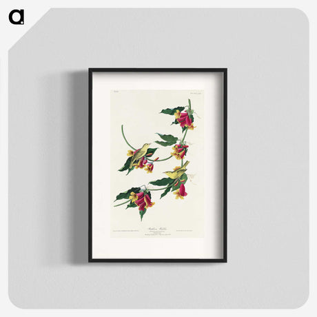 2-22_John-James-Audubon_blk