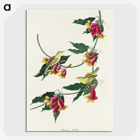 2-22_John-James-Audubon_picture-crop