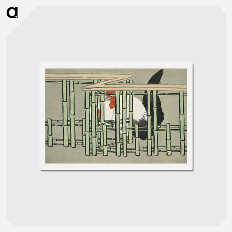 アートポストカード-Roosters from Momoyogusa–Flowers of a Hundred Generations - 神坂 雪佳 Postcard.