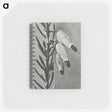 2-22_Karl-Blossfeldt_memo