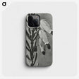 2-22_Karl-Blossfeldt_phone