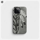 2-22_Karl-Blossfeldt_phone