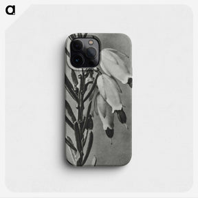 2-22_Karl-Blossfeldt_phone