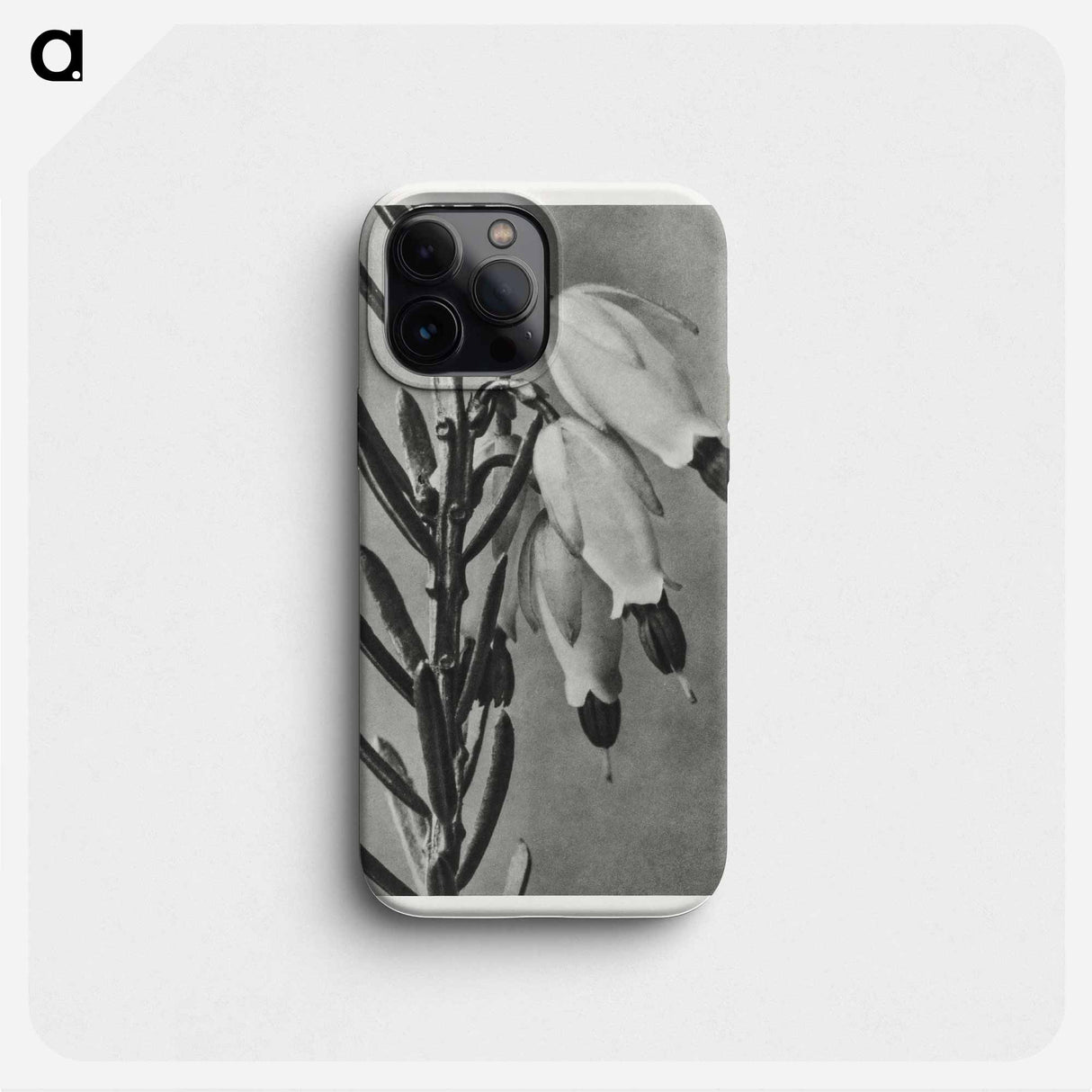 Erica Herbacea - カール ブロスフェルト Phone Case.