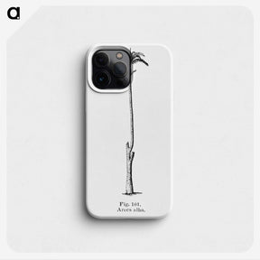 2-22_Les-Palmiers-Histoire-Iconographique_phone