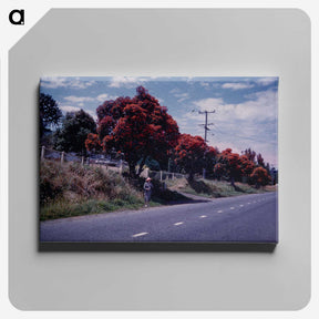 2-22_Leslie-Adkin_canvas